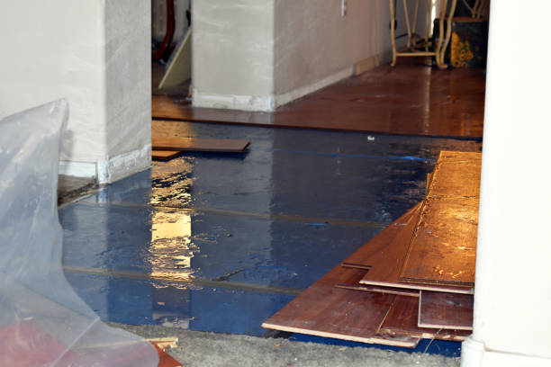 Professional Flood Damage Repair technician working in Westport, IN